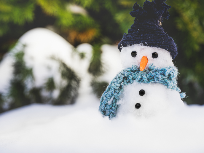 Snowman with knitted scarf and hat