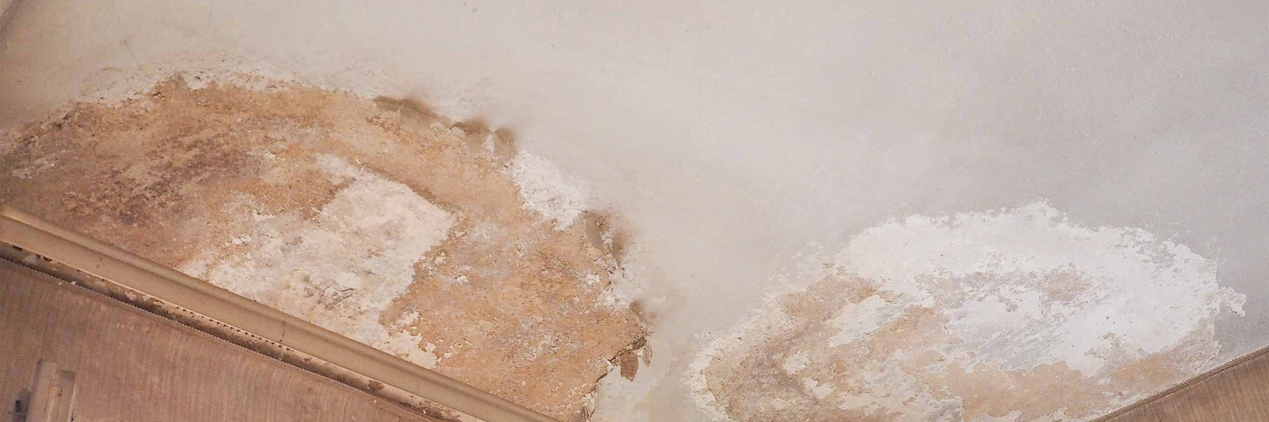 How Cold and Damp Homes impact Mental Wellbeing?