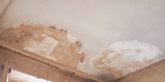 Damp - Retrofit West