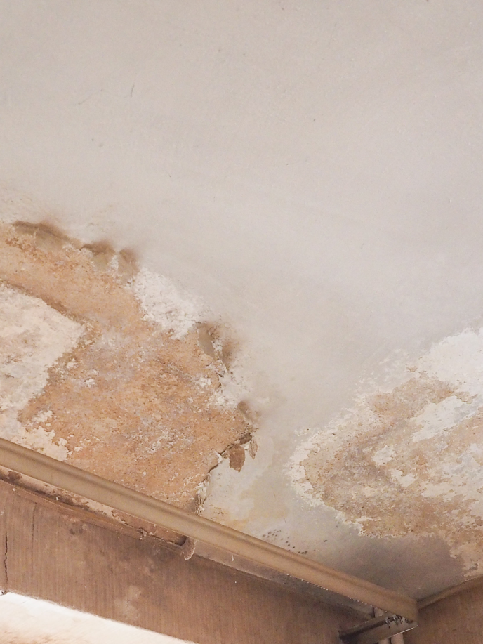 Damp patch in the corner of a ceiling.