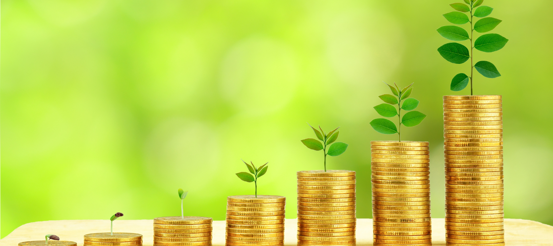 Vouchers & Funding