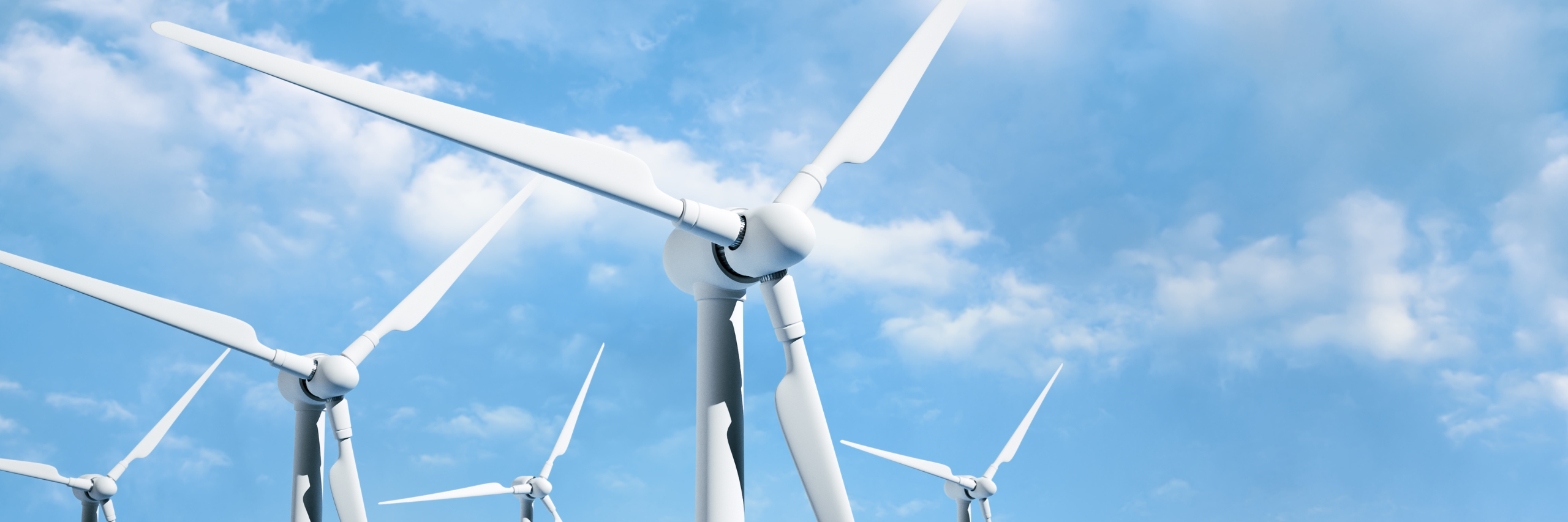What are the 7 types of Renewable Energy?