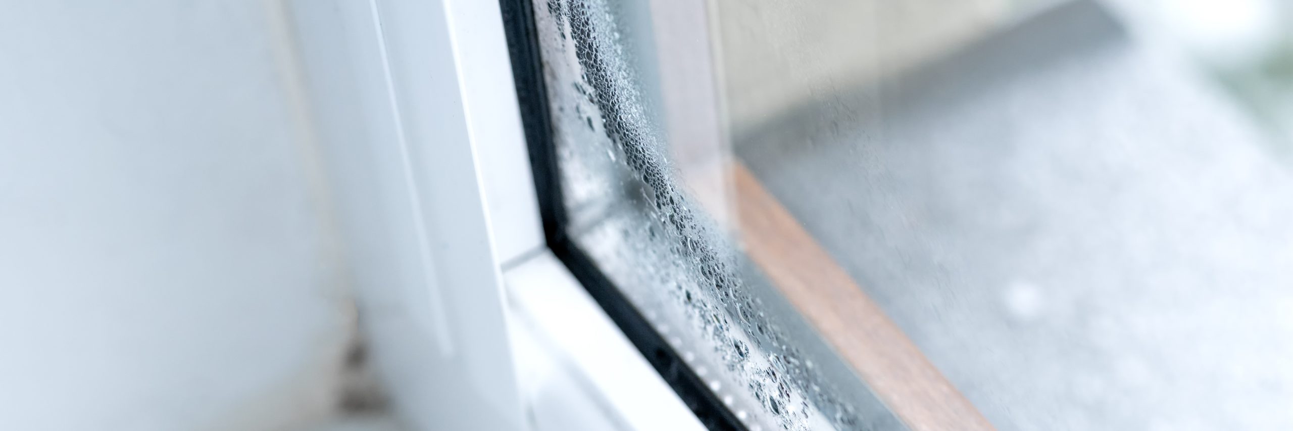 A Guide to Moisture in Homes