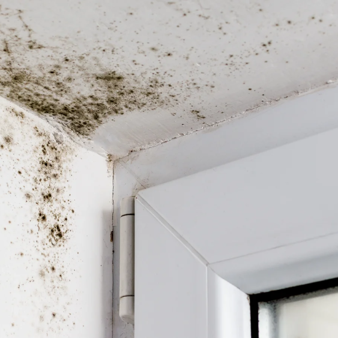 Black mould on the ceiling and wall, around the frame of a door.